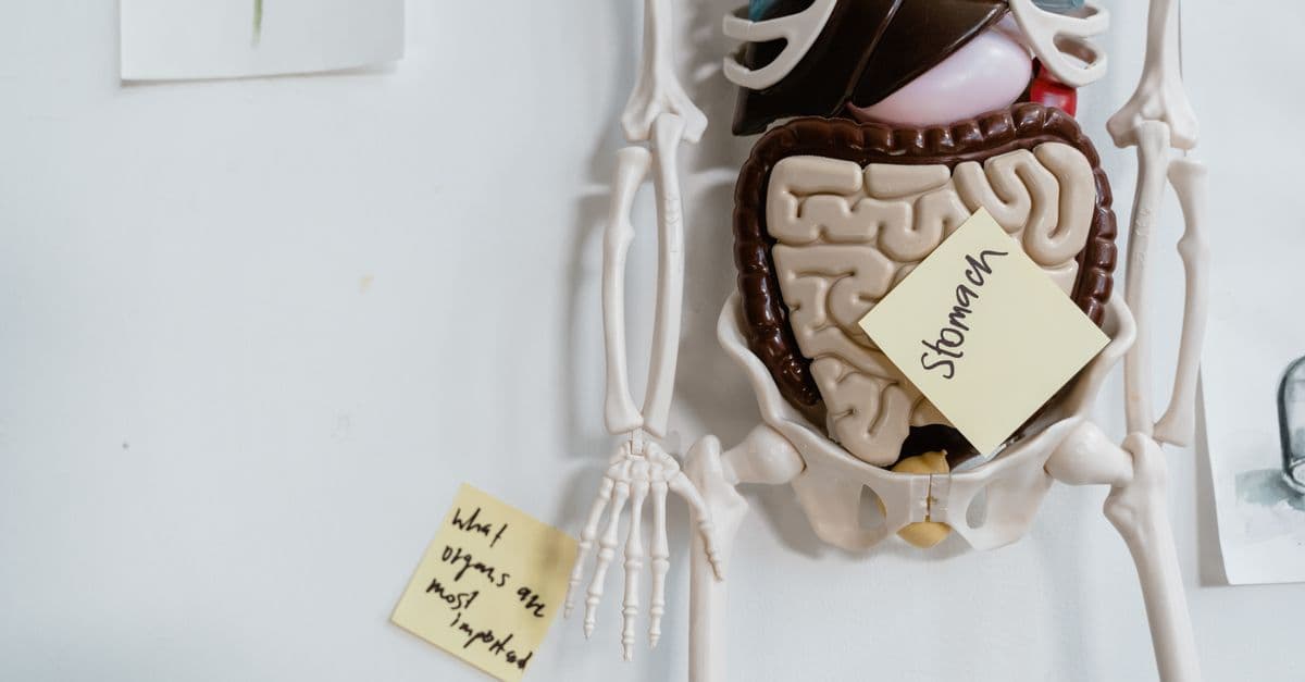 GLP-1 and gastroparesis: what the stomach-paralysis concern means