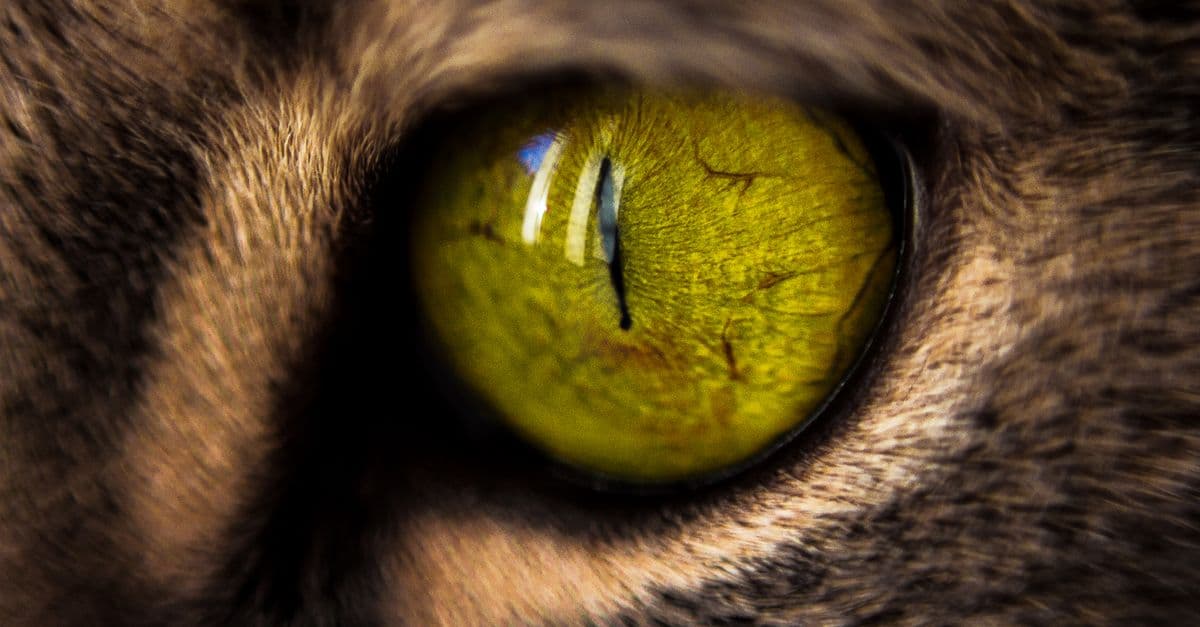 GLP-1 and vision: what to know about eye-related concerns