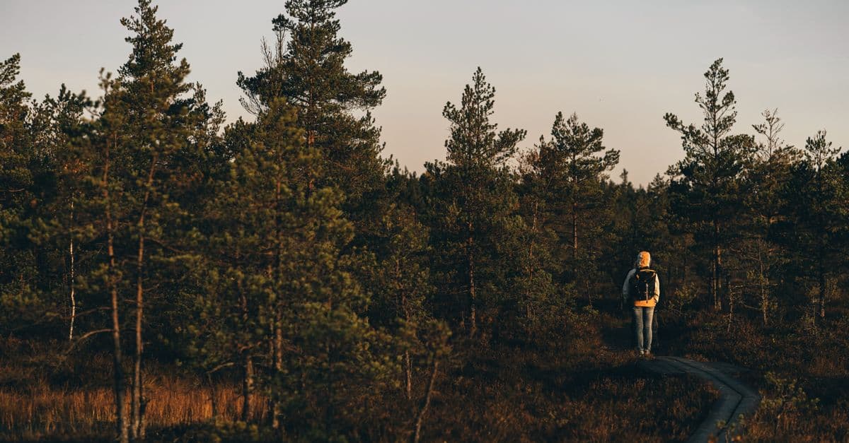Weight regain after stopping a GLP-1: what the data says and what helps